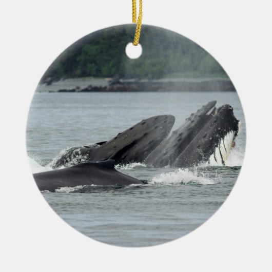 Humpback Whales Keramisch Ornament (Voorkant)