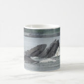 Humpback Whales Koffiemok (Center)