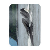 Humpback Whales Magneet (Verticaal)