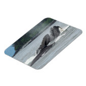 Humpback Whales Magneet (Linkerzijde)