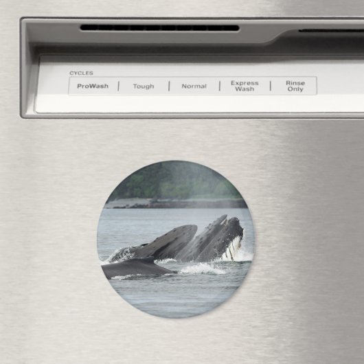 Humpback Whales Magneet (Insitu (Vaatwasser))