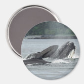 Humpback Whales Magneet (Voorkant / Achterkant)