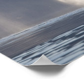 Humpback Whales Megaptera novaeangliae) Poster (Hoek)