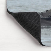Humpback Whales Muismat (Hoek)