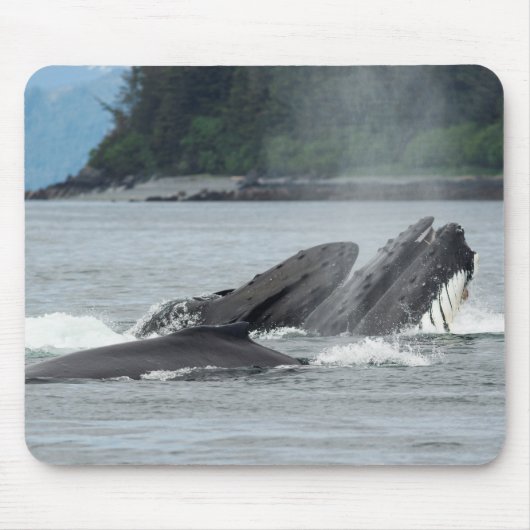 Humpback Whales Muismat (Voorkant)