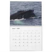 Humpback Whales of Stelwagen Bank Kalender (Mar 2027)
