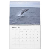 Humpback Whales of Stelwagen Bank Kalender (Feb 2027)