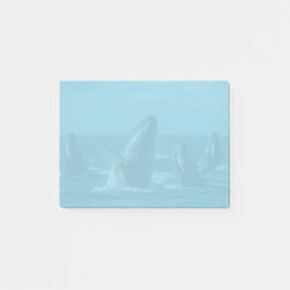 Humpback Whales Post-it® Notes