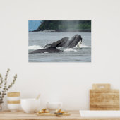 Humpback Whales Poster (Keuken)