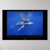 Humpback Whales Poster (Voorkant)