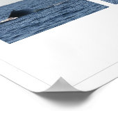 Humpback Whales Poster (Hoek)