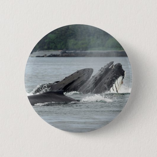 Humpback Whales Ronde Button 5,7 Cm (Voorkant)