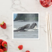 Humpback Whales Servet (Insitu)