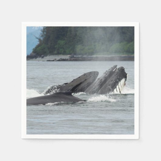Humpback Whales Servet (Voorkant)