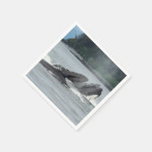 Humpback Whales Servet (Hoek)
