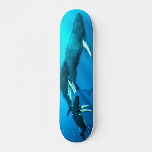 Humpback Whales Skateboard (Voorkant)