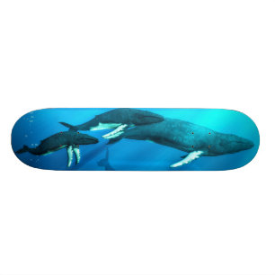 Humpback Whales Skateboard