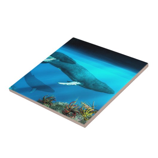 Humpback Whales Tegeltje (Zijkant)