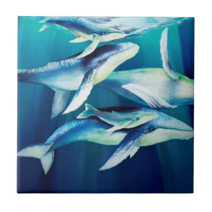 Humpback Whales Tegeltje