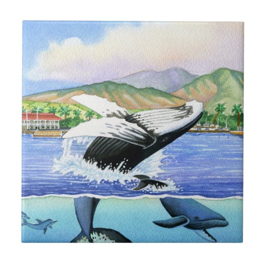Humpback Whales Tegeltje (Voorkant)