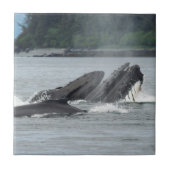 Humpback Whales Tegeltje (Voorkant)