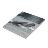 Humpback Whales Tegeltje (Zijkant)