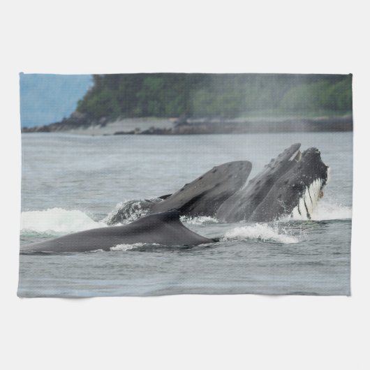 Humpback Whales Theedoek (Horizontaal)