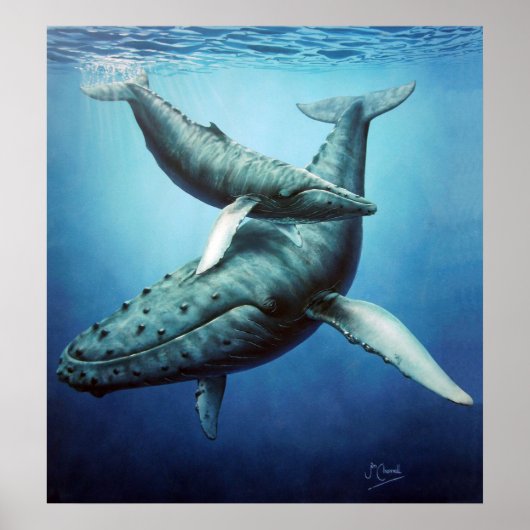 Humpbacks 'Serenity' moeder en kalf-canvas print (Voorkant)