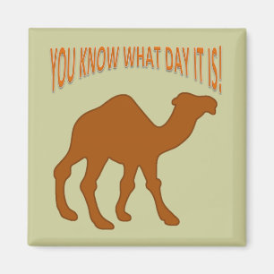 HUMPDAY! CAMEL HUMP DAG JE WEET WELKE DAG HET IS MAGNEET