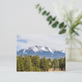 Humphrey Peak Mountain bij Flagstaff Arizona Briefkaart (Staand voorkant)