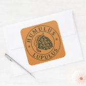 Humulus lupulus sticker vierkant (Envelop)