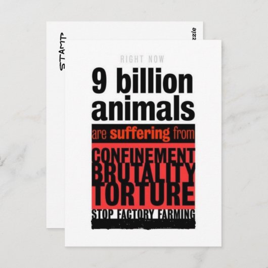 Hun lijden briefkaart (Voorkant / Achterkant)