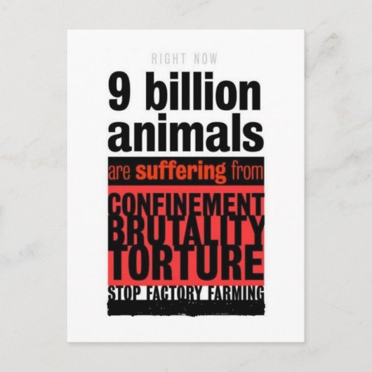 Hun lijden briefkaart (Voorkant)