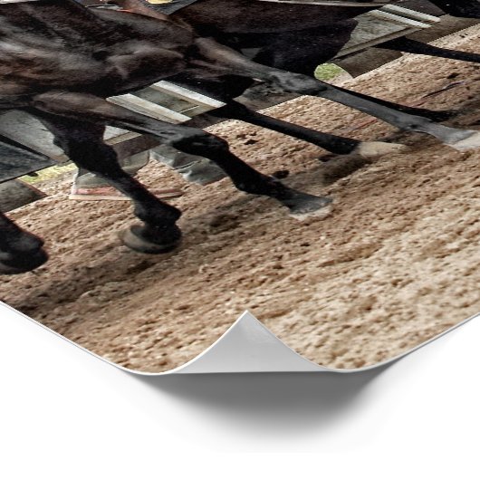 Hun uitweg poster (Hoek)