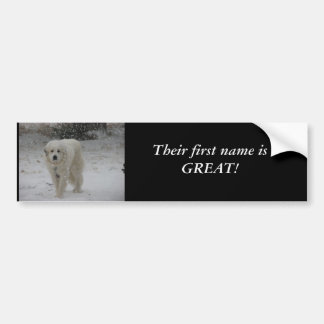 Hun voornaam is geweldig bumpersticker