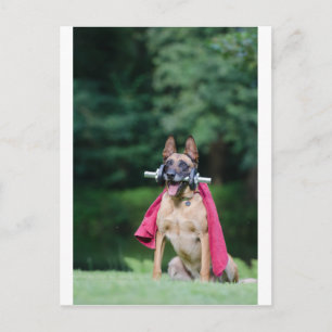 Hund beim Fitnesstining Briefkaart