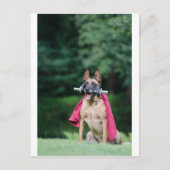 Hund beim Fitnesstining Briefkaart (Voorkant)