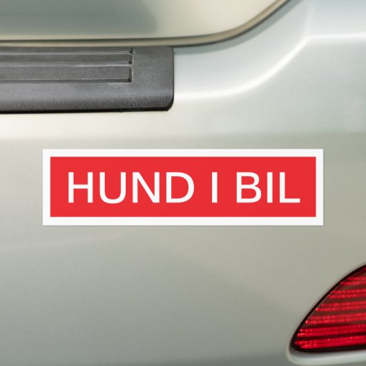 Hund i bil bumpersticker (Op auto)