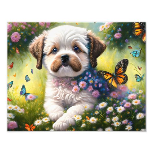 Hund in Blumenwiese mit Schmetterlingen Foto Afdruk (Voorkant)