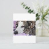 Hund, Katze, Freundschaft Briefkaart (Staand voorkant)