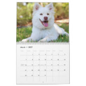 Hunde Calender 2025 Kalender (Mar 2027)