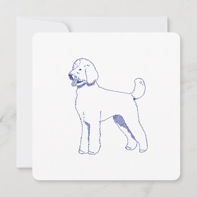 Hunderasse Goldendoodle (Voorkant)