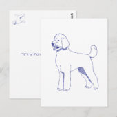 Hunderasse Goldendoodle Briefkaart (Voorkant / Achterkant)