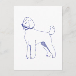 Hunderasse Goldendoodle Briefkaart