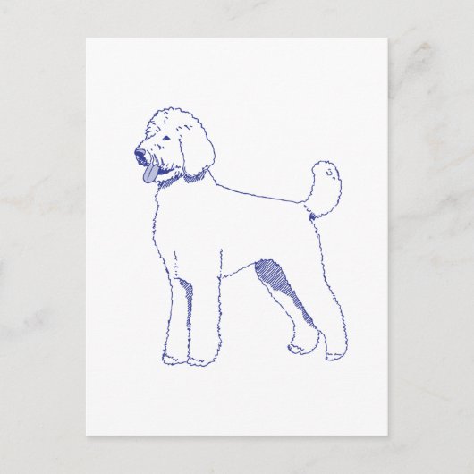 Hunderasse Goldendoodle Briefkaart (Voorkant)