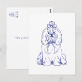 Hunderasse Shih Tzu Briefkaart (Voorkant / Achterkant)