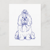 Hunderasse Shih Tzu Briefkaart (Voorkant)