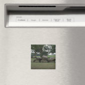 Hunebed Magneet (Insitu (Vaatwasser))