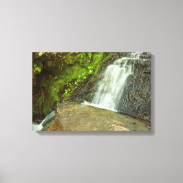 Hungarian Falls Mossy Forest Cascade Canvas Afdruk