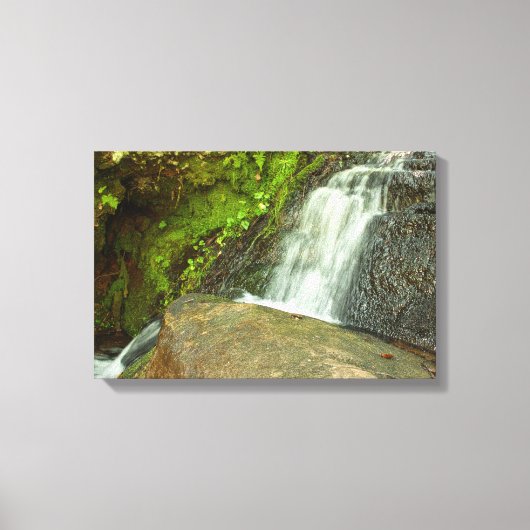 Hungarian Falls Mossy Forest Cascade Canvas Afdruk (Voorkant)